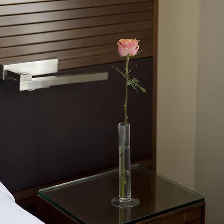 Astoria Hotel 3*